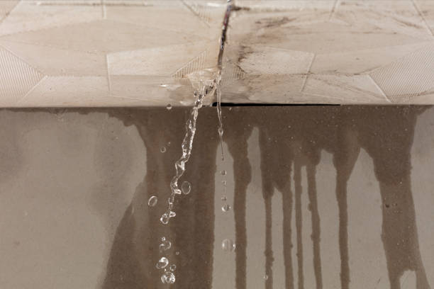Professional Sewage Cleanup technician working in Croton-on-Hudson, NY